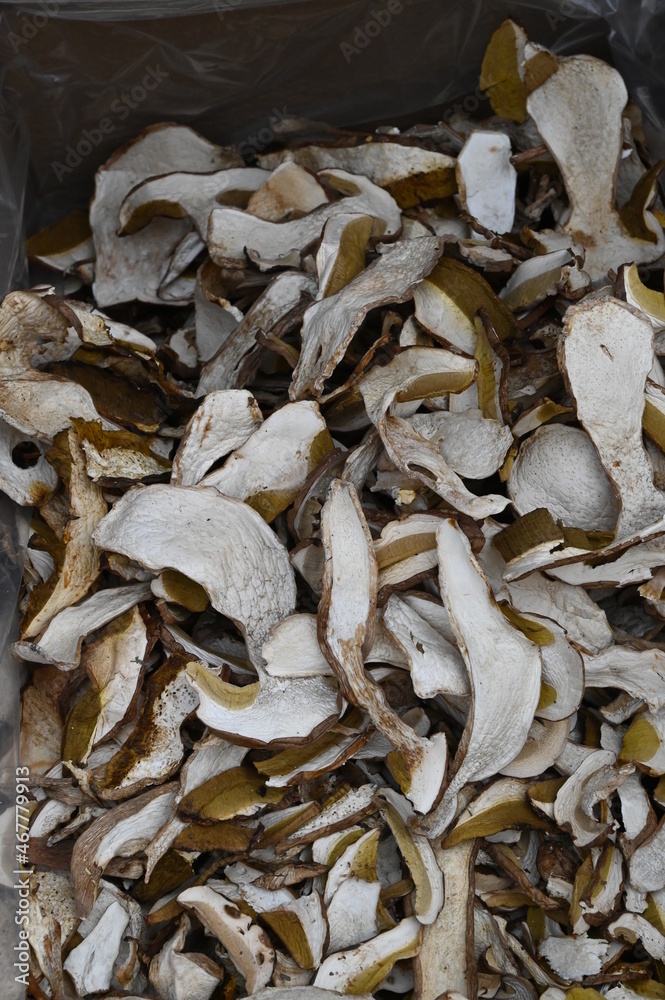 Porcini secchi Porcini secchi