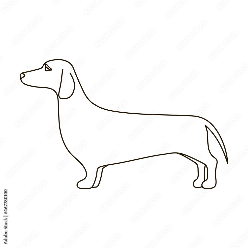 Dachshund vector icon.Outline vector icon isolated on white background dachshund.