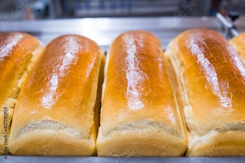 Loafs of bread in a bakery on an automated conveyor belt