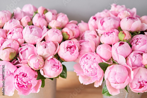 Fototapeta Naklejka Na Ścianę i Meble -  Pink Angel Cheeks peonies in a metal vase. Beautiful peony flower for catalog or online store. Floral shop concept . Beautiful fresh cut bouquet. Flowers delivery