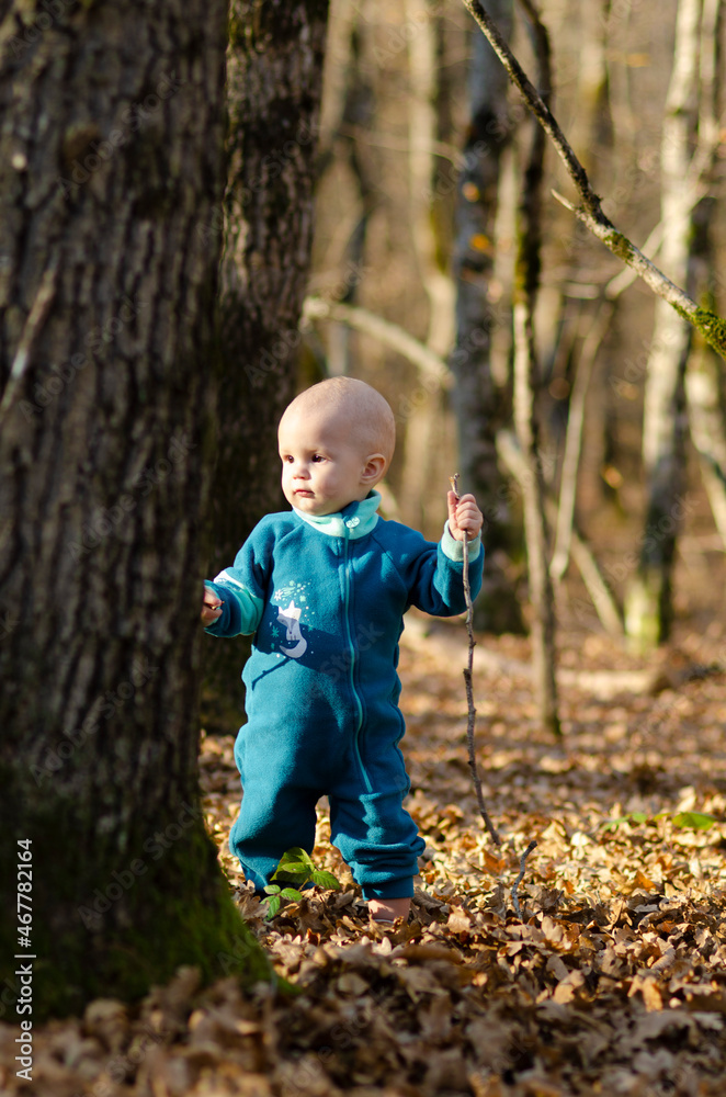 Funny little toddler girl in a red jacket and colorful knitted hat and scarf playing with golden maple leaves in a sunny park with yellow and orange trees on a warm autumn day Funny little toddler girl in a red jacket and colorful knitted hat and scarf playing with golden maple leaves in a sunny park with yellow and orange trees on a warm autumn day