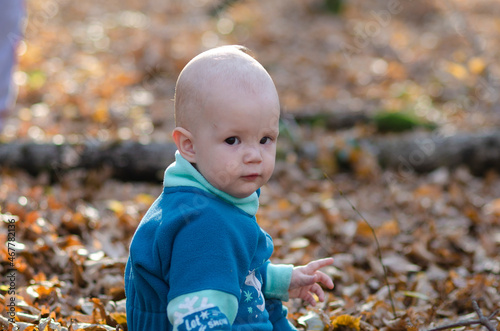 Funny little toddler girl in a red jacket and colorful knitted hat and scarf playing with golden maple leaves in a sunny park with yellow and orange trees on a warm autumn day