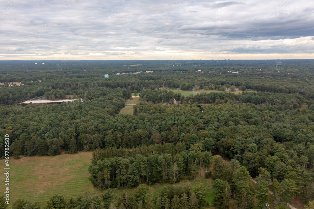 aerial image of a  forest 