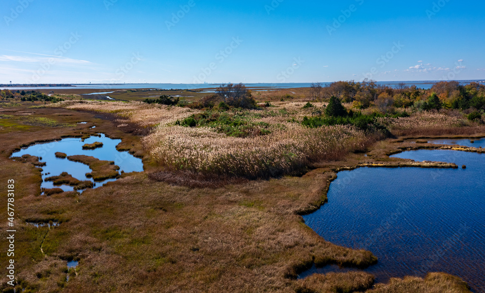Obraz premium aerial image of a fall lake 