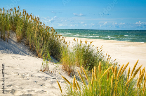 Summer beach on a Baltic Sea, sand, green grass and blue sky