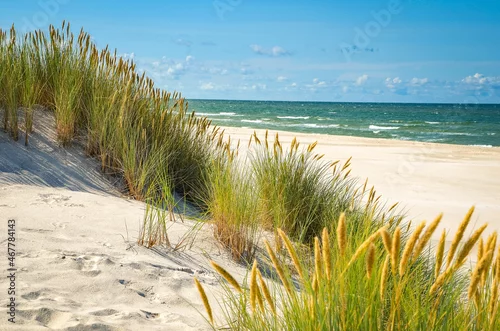 Obraz Summer beach on a Baltic Sea, sand, green grass and blue sky