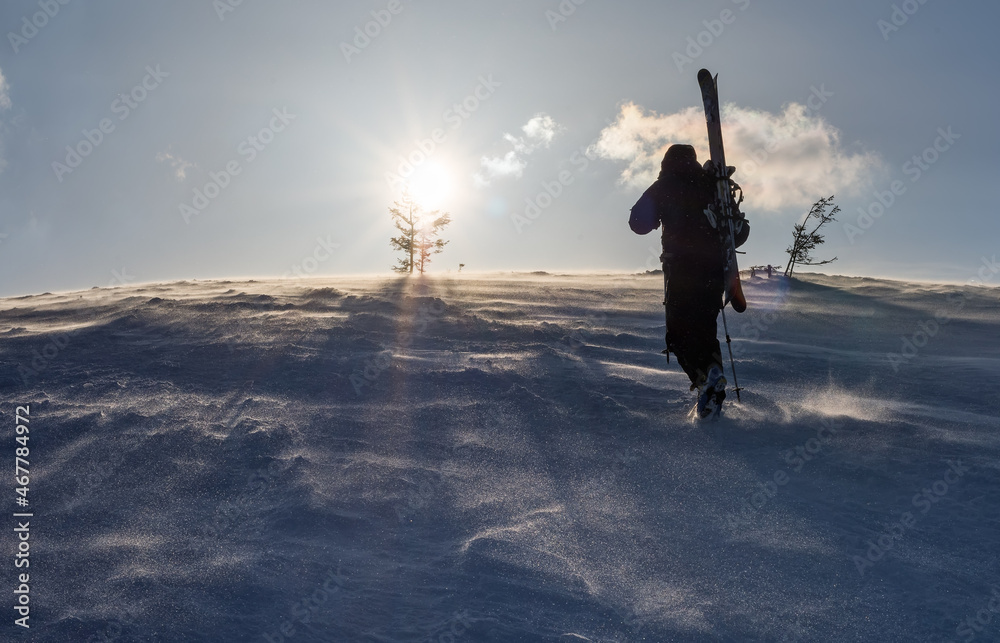 A tourist climbs along a snowy ridge with skis in a backpack. In the background the blue sky and the shining sun. Wind and evening. Concepts: adventure, determination, extreme sports.
