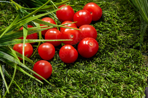 Cherry tomatoes on green grass
