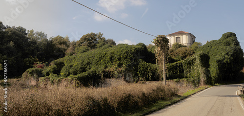 Ruins overgrown with vines in Arona, Piedmont photo