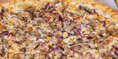 Delicious pizza with chicken mushrooms and cheese