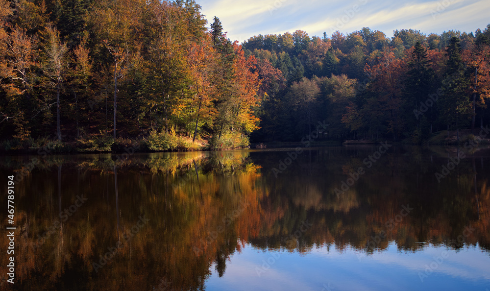 Beautiful autumn nature scenery of Colorful tress reflected in Trakošćan lake at Croatia, county hrvatsko zagorje 