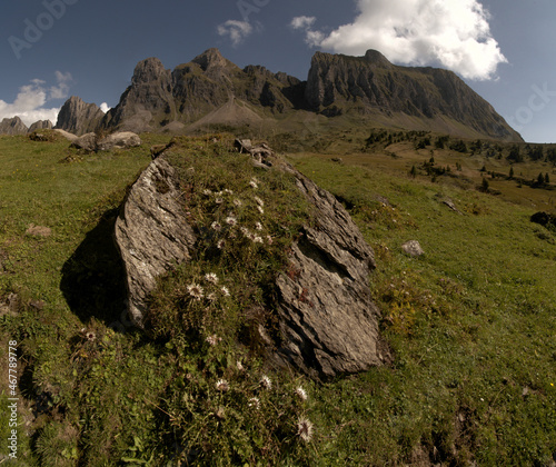 Peaks of the Alvier mountain seen from Alp Palfries, Switzerland photo