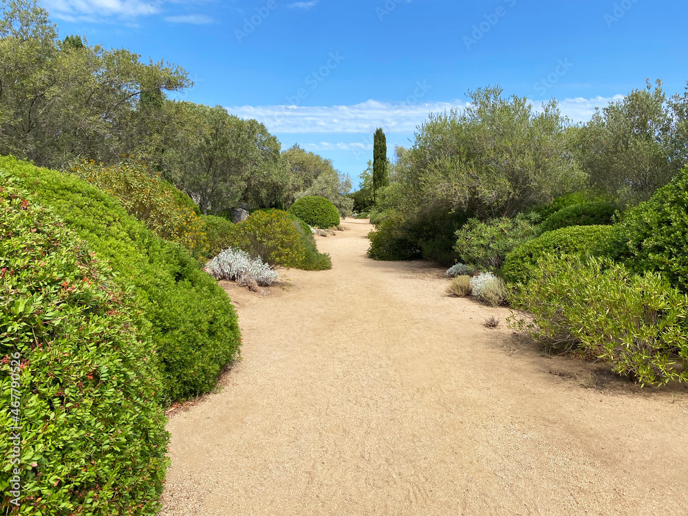 Fototapeta premium chemin