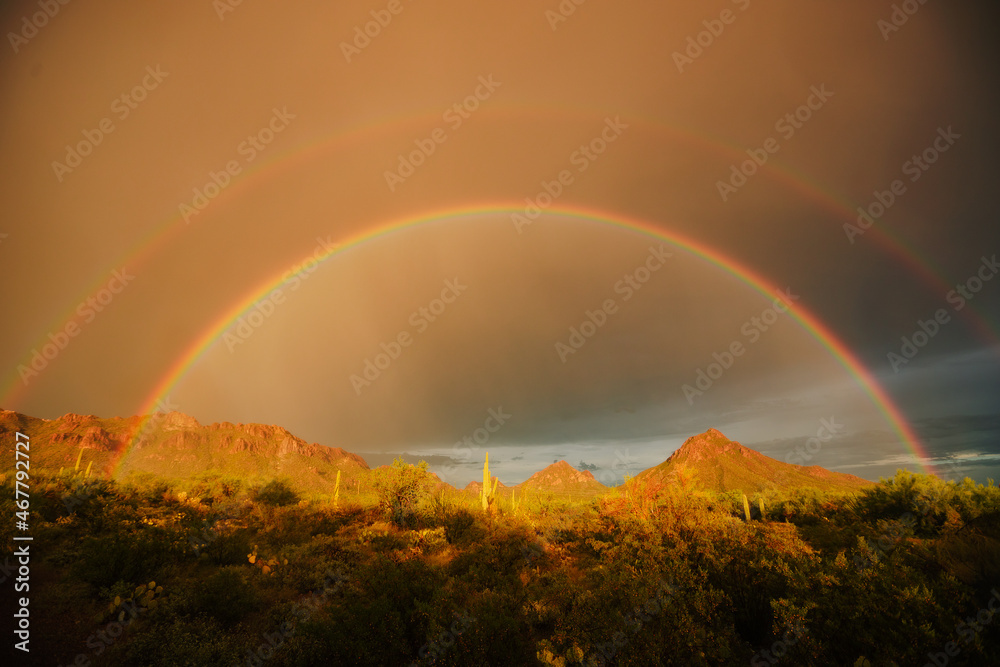 Desert mountains and cacti in summer with bright rainbow during a storm ...