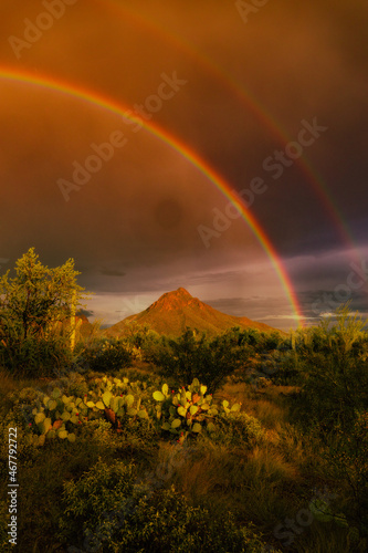 Desert mountains and cacti in summer with bright rainbow during a storm with sunlight 