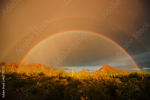 Desert mountains and cacti in summer with bright rainbow during a storm with sunlight 