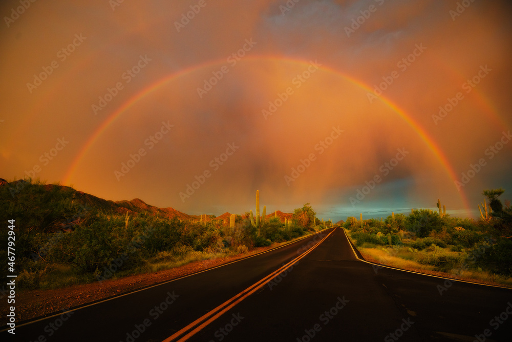 Desert road and cacti in summer with bright rainbow during a storm with sunlight 
