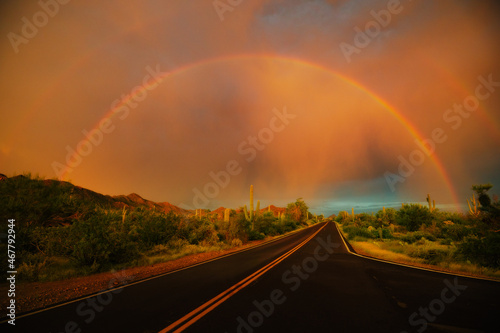Desert road and cacti in summer with bright rainbow during a storm with sunlight 