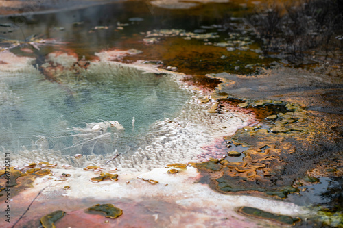 Silica mineral formation from thermal activity at Orakei Korako geothermal area in Rotorua, New Zealand photo