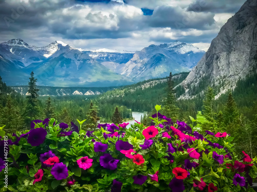 landscape with flowers © Kirk
