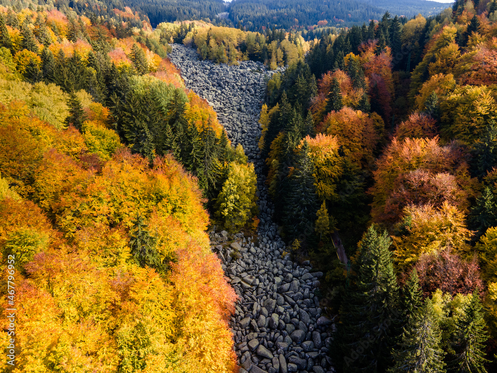 Stone river know as Zlatnite Mostove at Vitosha Mountain, Bulgaria Stone river know as Zlatnite Mostove at Vitosha Mountain, Bulgaria