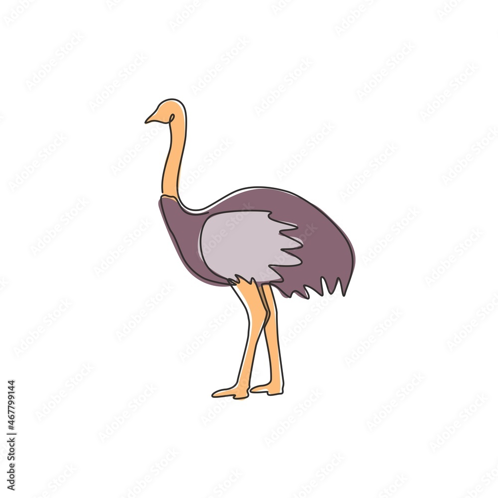 Single continuous line drawing of large ostrich for logo identity. Long necked bird mascot concept for national zoo icon. Modern one line draw graphic design vector illustration Single continuous line drawing of large ostrich for logo identity. Long necked bird mascot concept for national zoo icon. Modern one line draw graphic design vector illustration