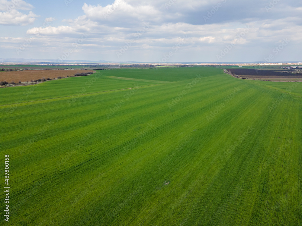 Obraz premium Aerial view of Upper Thracian Plain near town of Parvomay, Bulgaria
