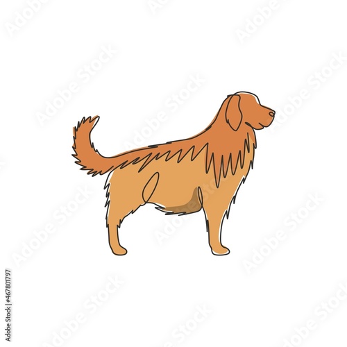 One continuous line drawing of cute golden retriever dog for company logo identity. Purebred dog mascot concept for pedigree friendly pet icon. Modern single line draw design vector illustration