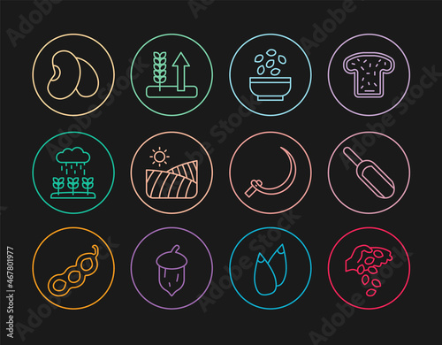 Set line Seed, Scoop flour, Seeds in bowl, Agriculture wheat field, Plant sprouts grow the rain, Beans, Sickle and Wheat icon. Vector