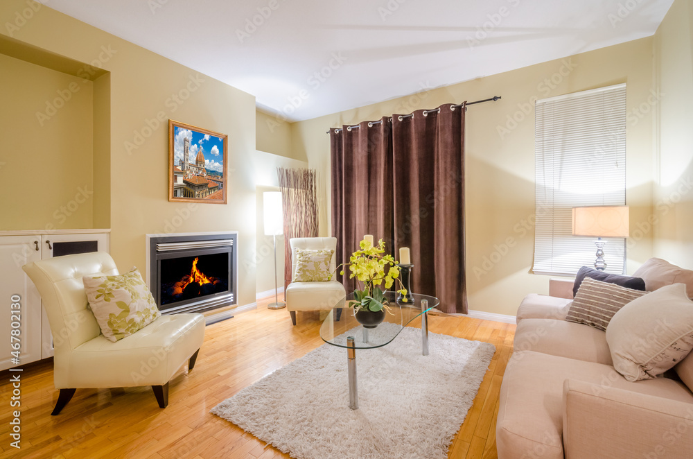 Fototapeta premium Interior design of a luxury living room