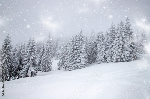 magic winter landscape with snowy fir trees