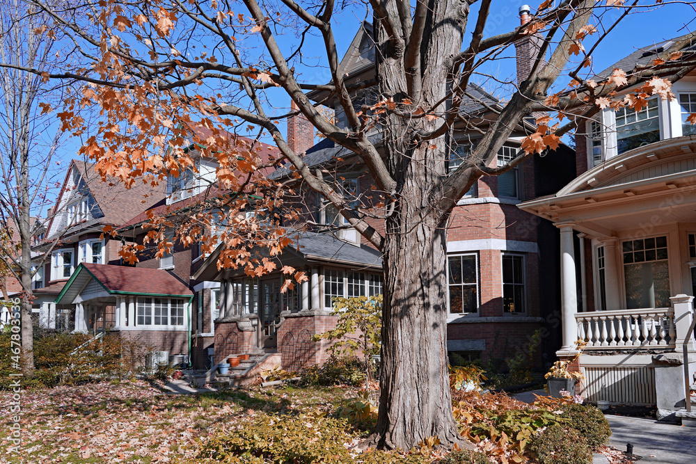 Street of traditional older detached houses with trees losing their leaves in the fall Street of traditional older detached houses with trees losing their leaves in the fall
