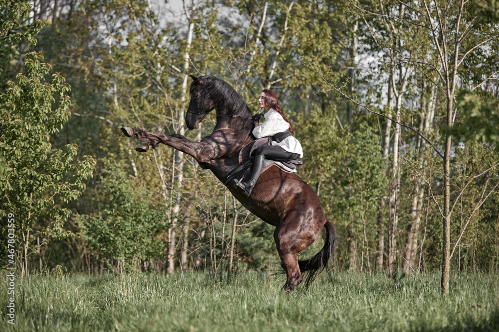 Fototapeta premium Beautiful long-haired girl riding a horse