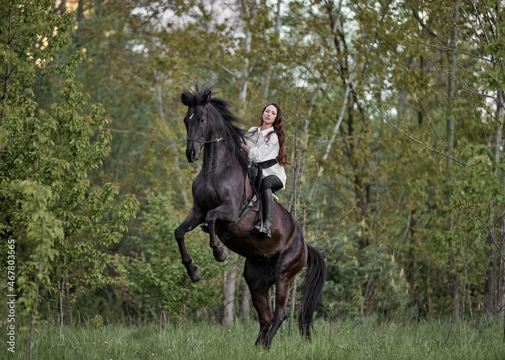 Beautiful long-haired girl riding a horse Beautiful long-haired girl riding a horse