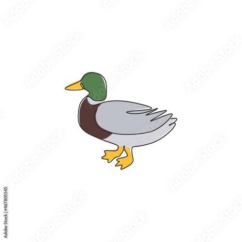 Single continuous line drawing of cute mallard for farm logo identity. Waterfowl duck mascot concept for animal livestock icon. Modern one line draw design vector graphic illustration