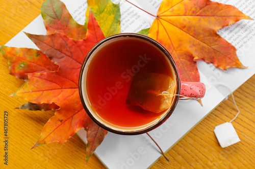 Cup of hot tea, book and au...