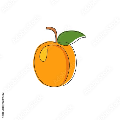 One continuous line drawing of whole healthy organic apricot for orchard logo identity. Fresh fruitage concept for fruit garden icon. Modern single line draw design graphic vector illustration