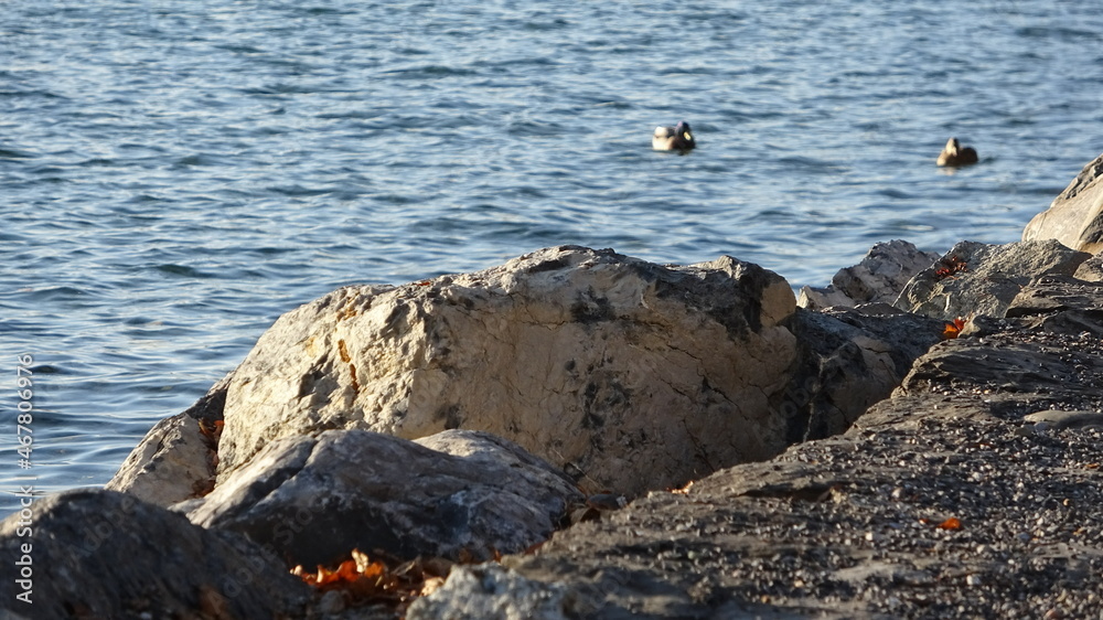 Obraz premium Steine am See