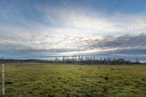 Landscape with delicate cirrus clouds over the field. Autumn field and sunset sky with clouds. Scenic evening landscape with blue sky  field and clouds.