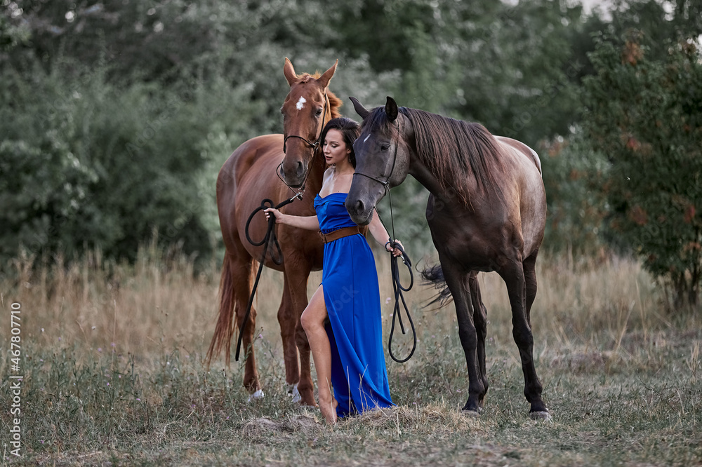 Beautiful long-haired girl in a blue dress next to two horses