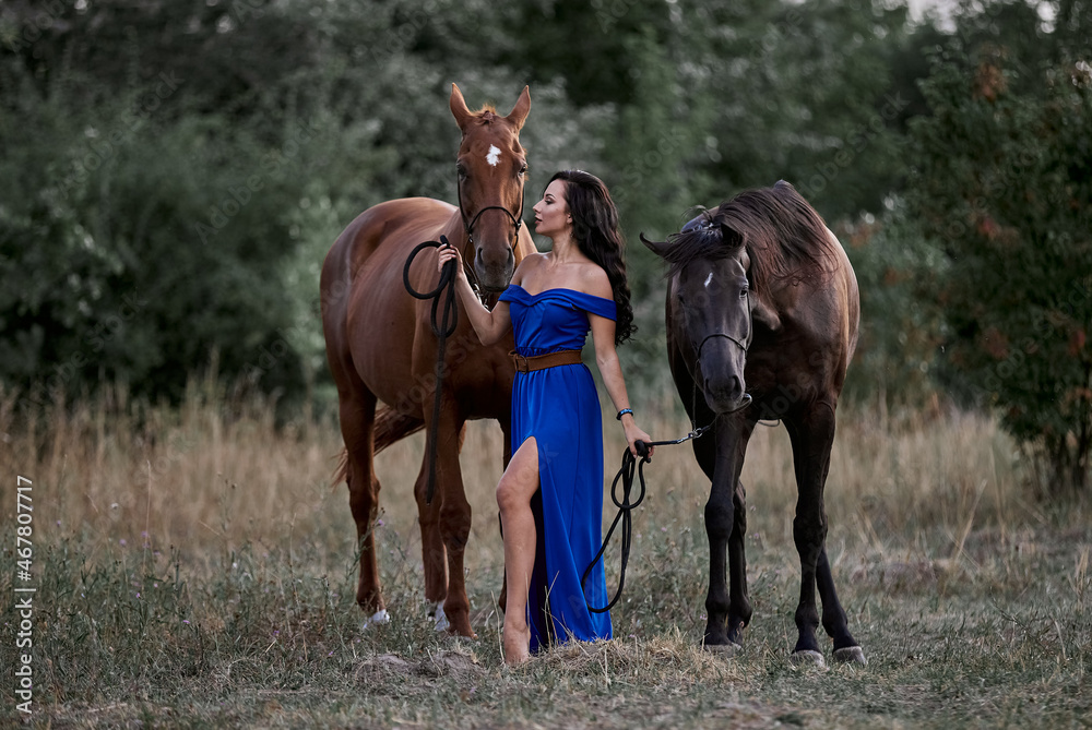 Beautiful long-haired girl in a blue dress next to two horses