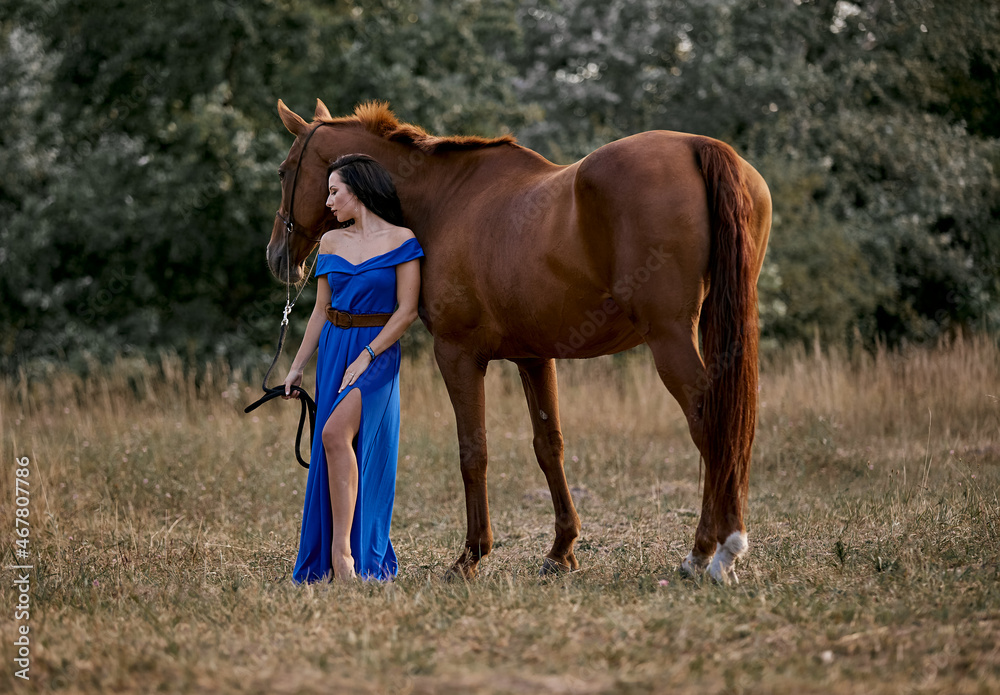 Fototapeta premium Beautiful long-haired girl in a blue dress with a red horse