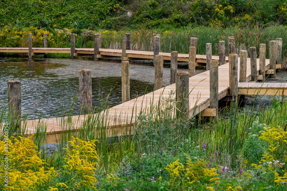 Fototapeta premium dock lake