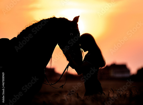 Silhouette of a girl with a horse at sunset in the field