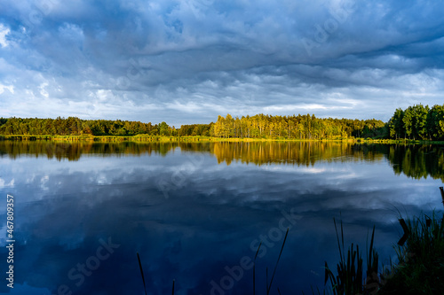 Forest by the lake