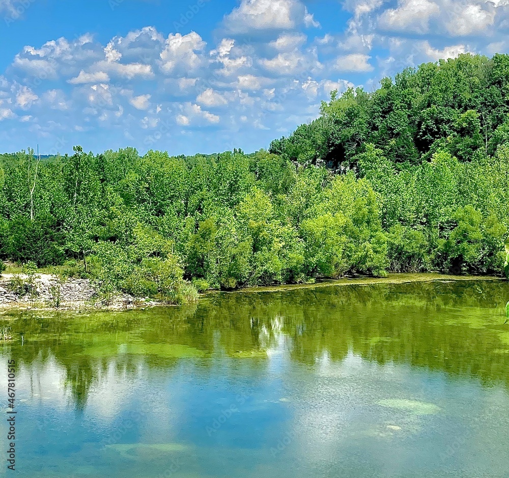 Reflection of Lake in Forest