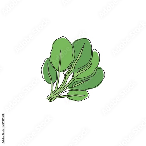 One single line drawing whole healthy organic green spinach leaves for farm logo identity. Fresh plant concept for edible vegetable icon. Modern continuous line draw design vector graphic illustration