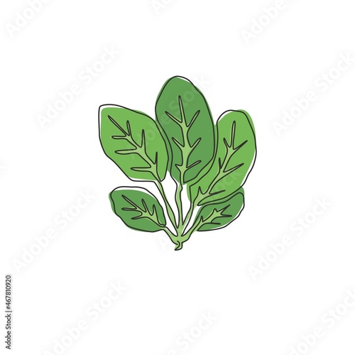 Single continuous line drawing of whole healthy organic green spinach leaves for farm logo identity. Fresh leafy green flowering concept for plant icon. Modern one line draw design vector illustration