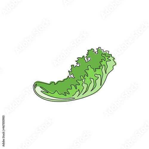One continuous line drawing whole healthy organic green lettuce leaf for farm logo identity. Fresh salad ingredient concept vegetable icon. Modern single line draw design vector graphic illustration