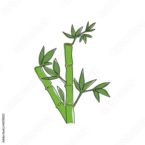 Single continuous line drawing of bamboo trees for plantation logo identity. Fresh evergreen perennial flowering plant concept for plant icon. Modern one line draw graphic design vector illustration